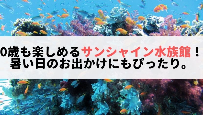 0歳も楽しめるサンシャイン水族館